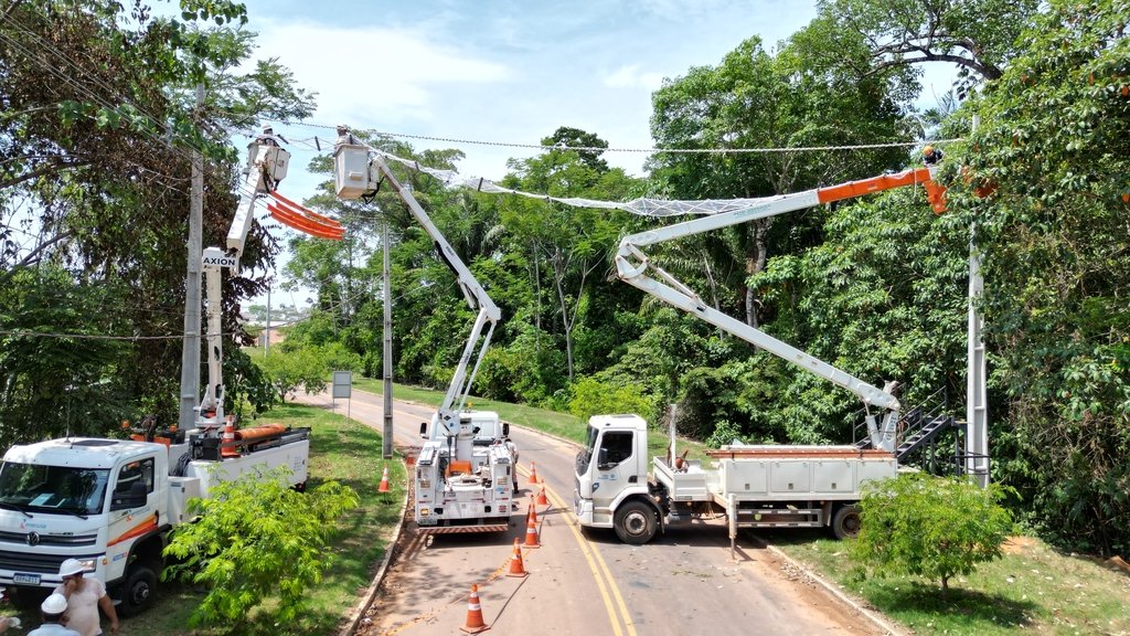 Equipe instala uma ponte de dossel sobre uma avenida arborizada em Alta Floresta, Mato Grosso.