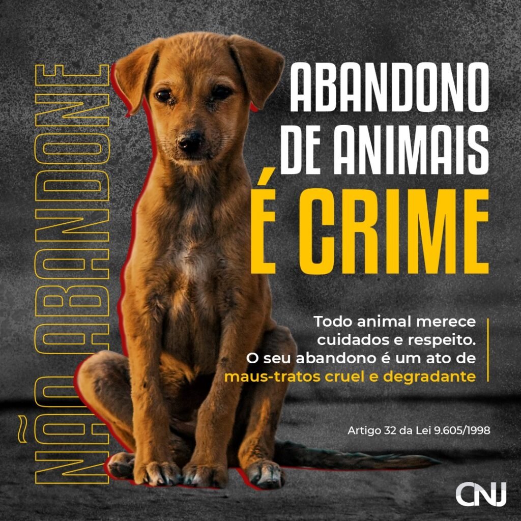 Arte do CNJ com imagem de um cão e a frase Abandono de animais é crime