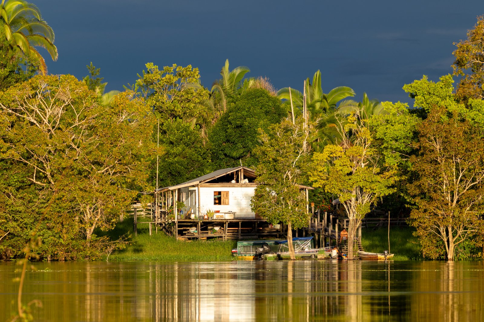 Vista da Floresta Amazônica no Brasil.