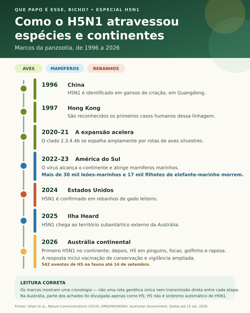 Infográfico mostra como o H5N1 em aves e mamíferos se expandiu entre espécies e continentes de 1996 a 2026.