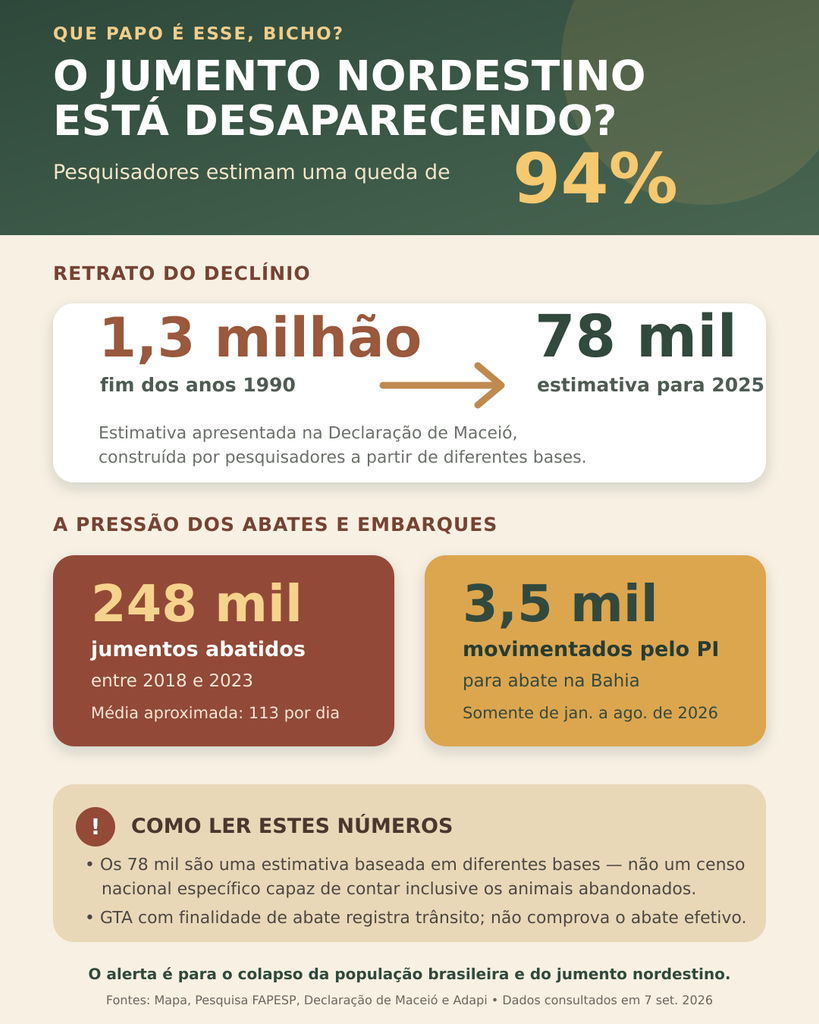Infográfico mostra queda estimada de 94%: de cerca de 1,3 milhão de jumentos no fim dos anos 1990 para 78 mil em 2025, além de 248 mil abates entre 2018 e 2023 e 3,5 mil animais movimentados pelo Piauí em 2026.