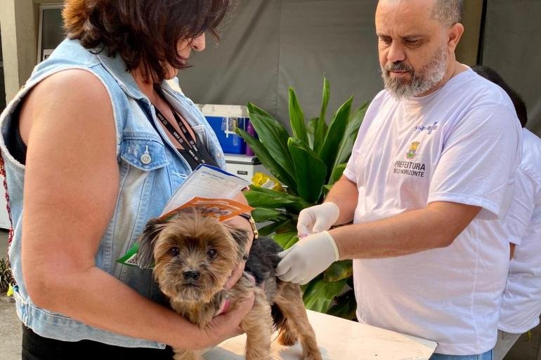 Cachorro de pequeno porte recebe vacina antirrábica durante campanha de vacinação em Belo Horizonte.