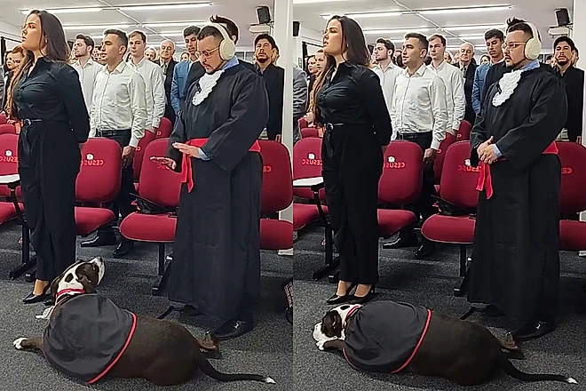 Sequência mostra Yoda procurando o olhar de Jhon e depois descansando aos pés do tutor durante a formatura.