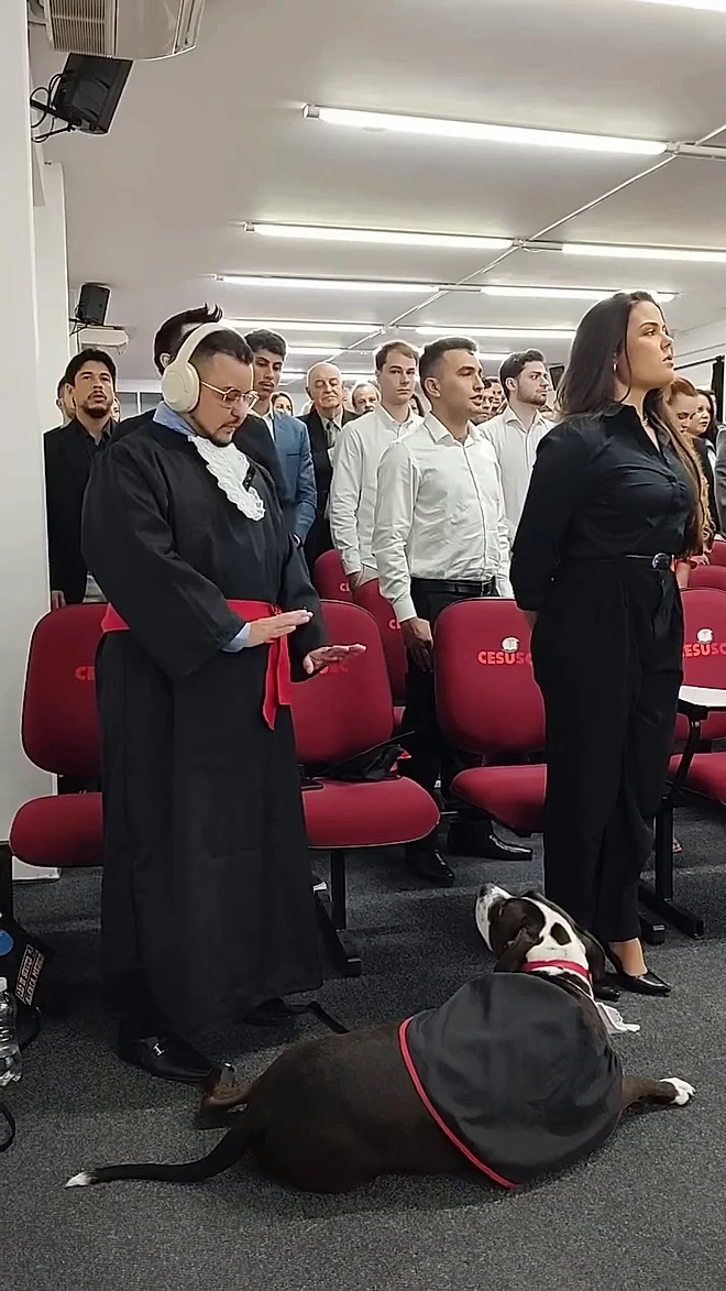 Yoda, cão de assistência, observa o tutor Jhon Polanski durante a formatura.