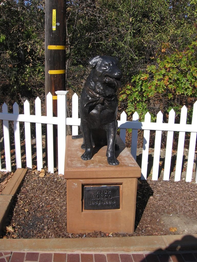 Estátua de Bosco, cachorro conhecido como prefeito honorário de Sunol, na Califórnia.