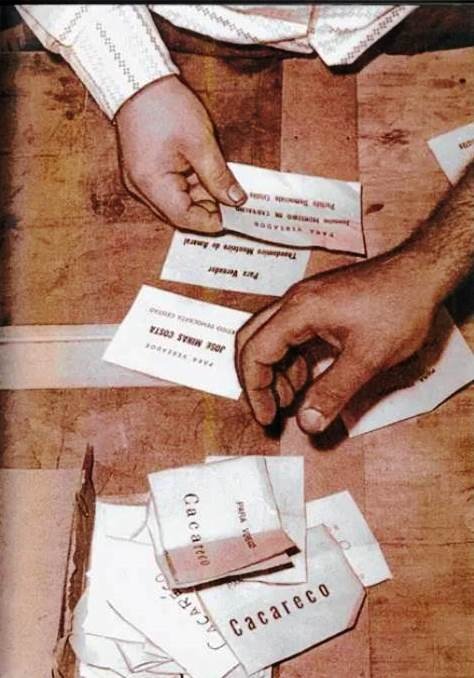 Cédulas eleitorais com o nome Cacareco escrito durante a eleição municipal de São Paulo em 1959.