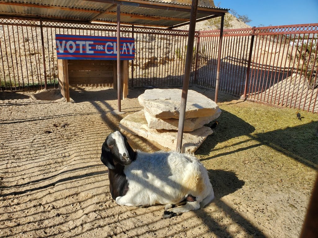 Bode Clay Henry em Lajitas, Texas, diante de placa com a frase Vote for Clay.