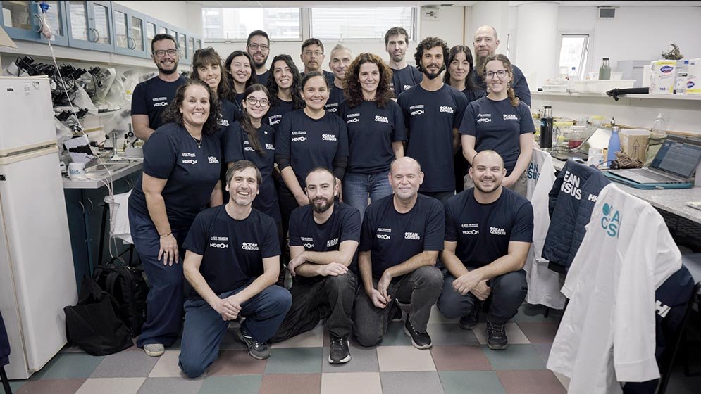Grupo de taxonomistas e pesquisadores reunidos em laboratório durante workshop de espécies marinhas em Buenos Aires.